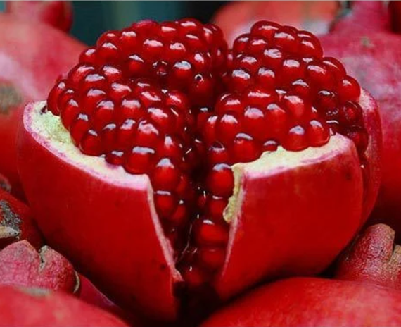 Pomegranate